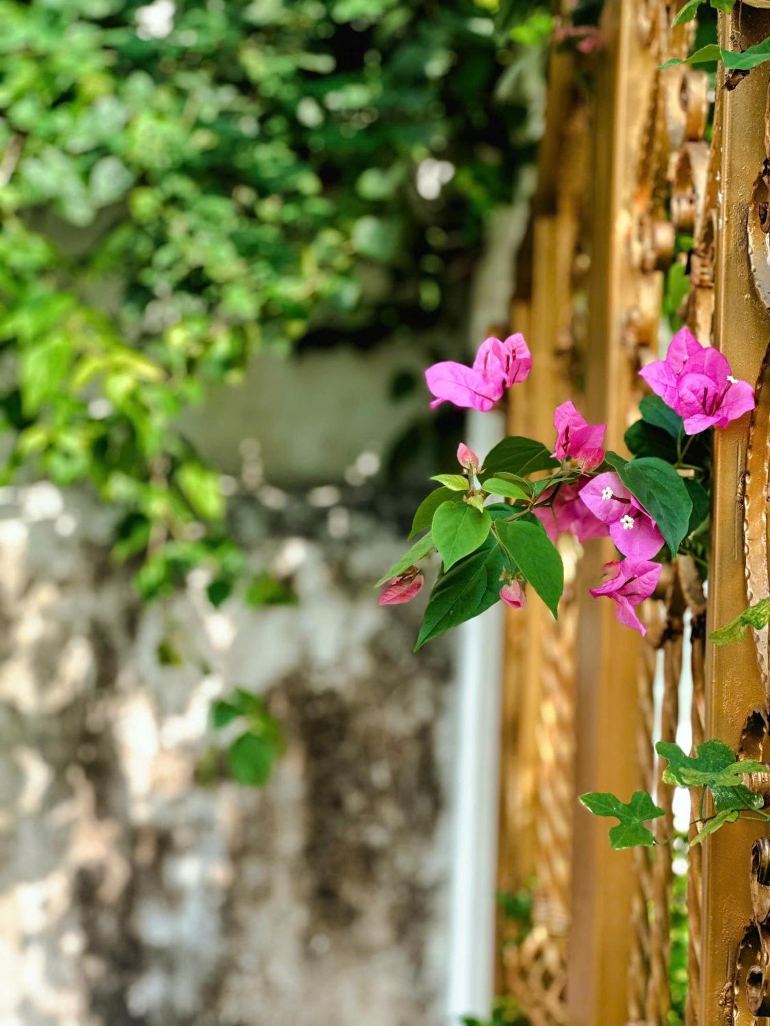 Blue Fish Villa Tan Thanh Экстерьер фото